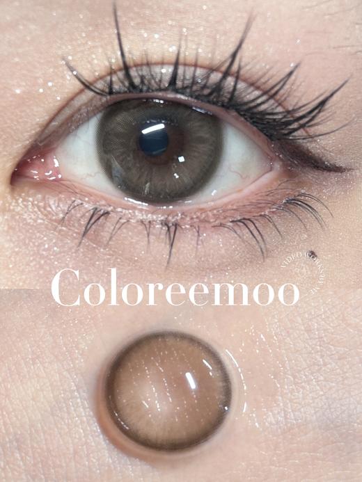 【🍃淡颜自然年抛】黄油蜜棕 Coloree Moo 商品图0