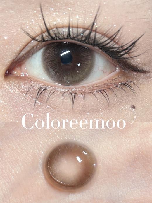 【🍃淡颜自然年抛】丁达尔棕/灰 Coloree Moo 商品图0