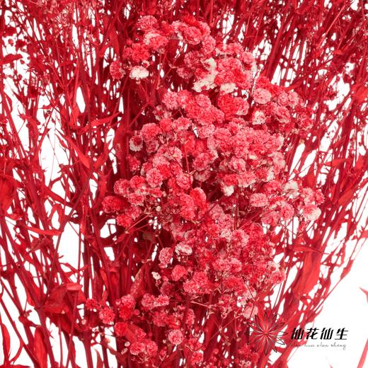 满天星 | 红色 商品图2