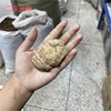 昭通天麻  各种规格天麻大个 大个天麻  天麻片 天麻粉 商品缩略图2