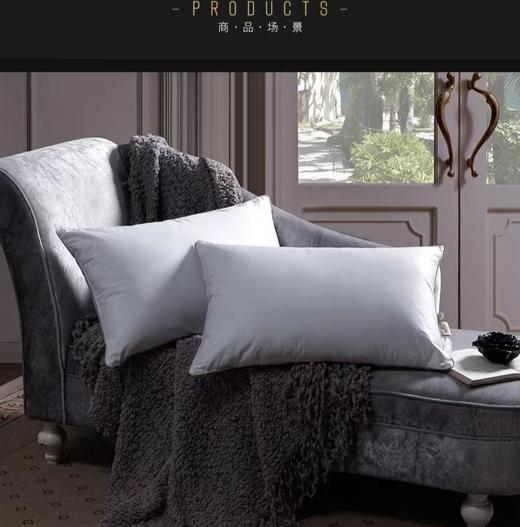 【春上新】10楼罗卡芙  柔纤舒眠枕48*74cm吊牌价198元/只活动价99元/只 商品图0