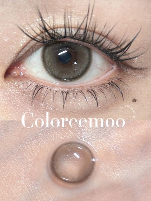 【🍃淡颜自然年抛】油栗浅驼 Coloree Moo 商品图0