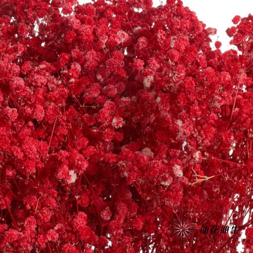 满天星 | 红色 商品图7