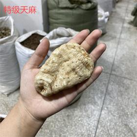 昭通天麻  各种规格天麻大个 大个天麻  天麻片 天麻粉