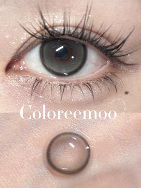 【🍃淡颜自然年抛】奇亚籽灰 Coloree Moo