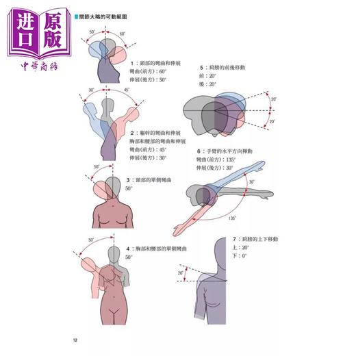 预售 【中商原版】姿势的美术解剖学：人体表现的幅度丰富多元 港台艺术原版 加藤公太 邦联文化出版 商品图2