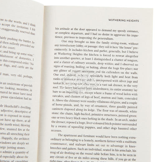 预售 【中商原版】呼啸山庄英文原版小说 Wuthering Heights Collins 英文原版书 世界经典名著 柯林斯经典文学书 商品图3