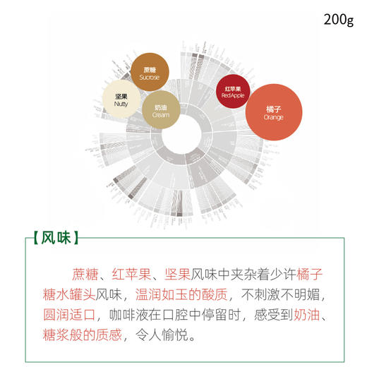 铂澜新品 PNG水洗精品咖啡豆200g 庄园手冲单品 新鲜烘焙可代磨粉 商品图3