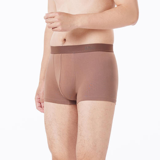 都市丽人都市锋尚内裤简约基础平角裤水柔棉男士内裤FKTCD1 商品图2