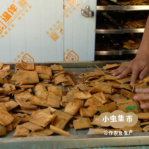 生态肉桂 40g/100g | 合作农友生产，来自从化287县道沿线，生产者：汇耕田合作社成员 &【公平贸易农人定价】 商品图9