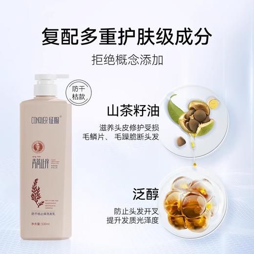 【下单送小样*2】征服2024新升级青蒿洗发乳洗发水洗护系列【4-613】 商品图2