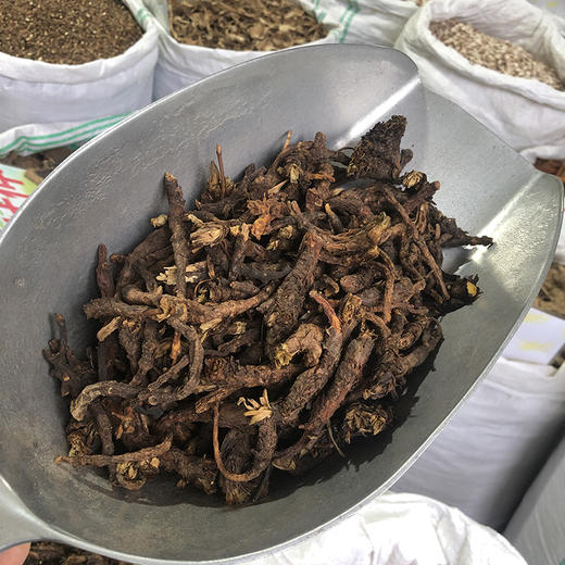 胡黄连 精选胡黄连中药材 商品图4