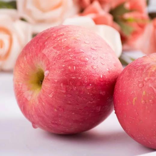 特级红富士苹果 | 水果 商品图1