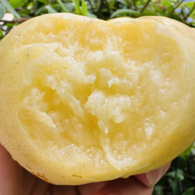 蜂蜜 · 奶油蟠桃【只有这一批好货，只有2天时间】