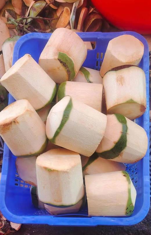 海南万宁金椰/椰青  纯天然新鲜采摘  津止渴润喉（赠送开椰器） 商品图5