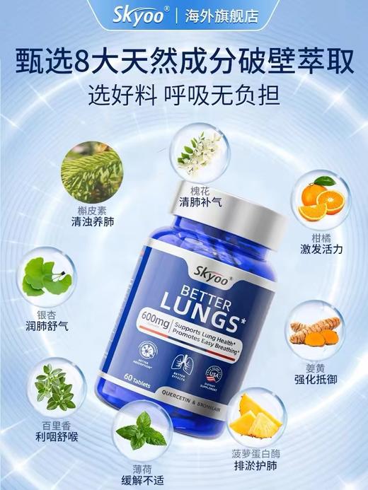 Skyoo美国原装进口菠萝蛋白酶槲皮素【69121824】 商品图2