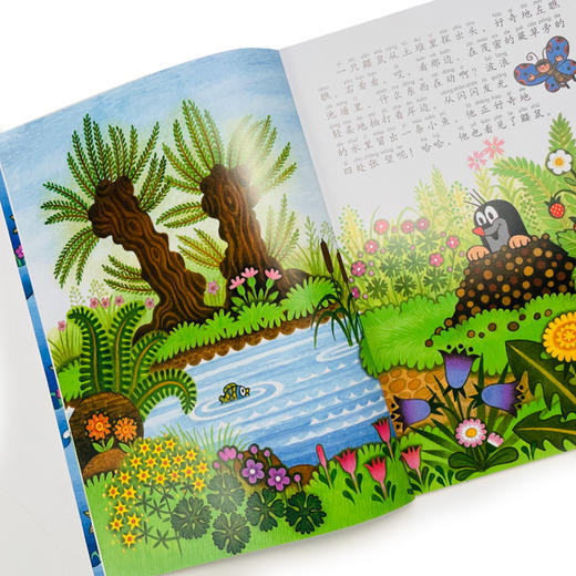 3-6岁 鼹鼠的故事:拼音版 绘本版 宝宝说英语 开口读儿歌  接力社 商品图3