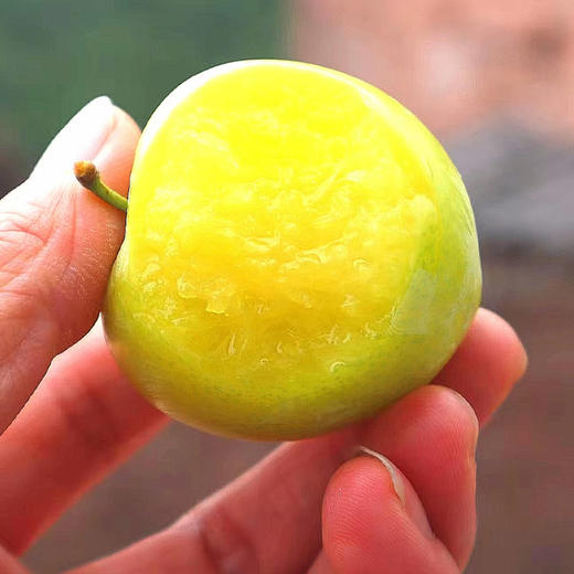 桃花李（玉皇李）/软熟口感/267项农残0检出 商品图8