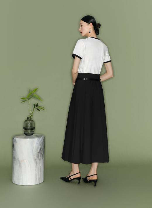 【商场同款】伊芙丽夏半身裙1F4540051N 商品图2