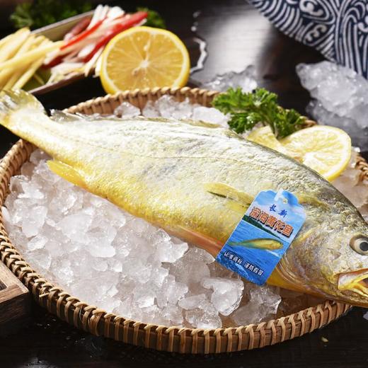 冰鲜黄花鱼约300-400g/条 商品图0