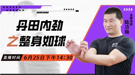 6月25日 丹田内劲之整身如球 商品图0