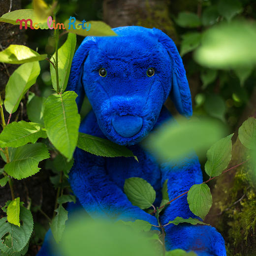Moulin Roty 毛绒玩偶 蓝蓝狗布鲁 来自法国经典童书 894022 商品图5