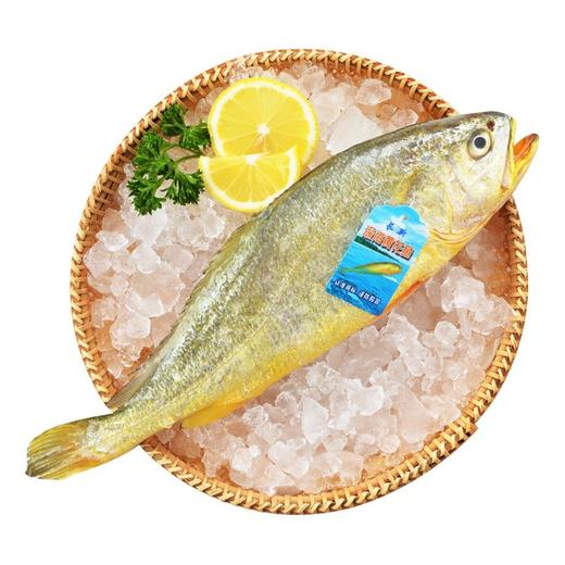 冰鲜黄花鱼约300-400g/条 商品图3