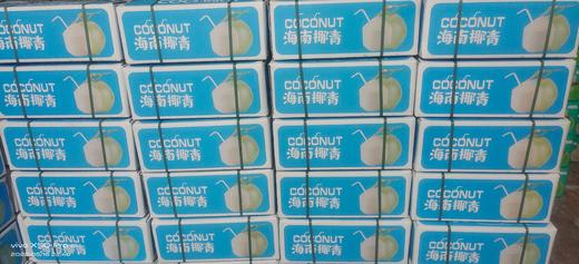 海南万宁金椰/椰青  纯天然新鲜采摘  津止渴润喉（赠送开椰器） 商品图4