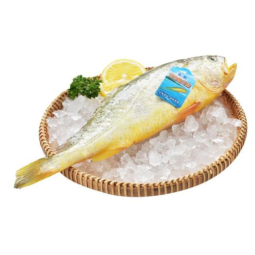 冰鲜黄花鱼约300-400g/条 商品图4