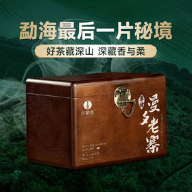 【曼夕老寨单株】2024年头春头采曼夕老寨古树单株，千元价品鉴到万元茶的体验；高端木箱装赠手提袋，500克/箱，散茶，拍5发6拍20发25