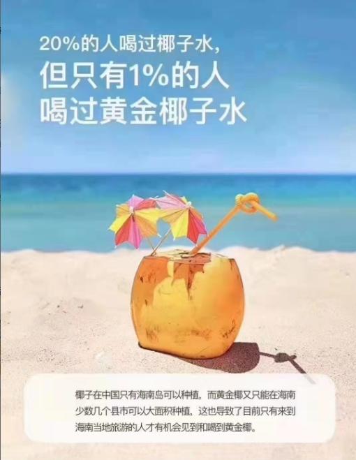 海南万宁金椰/椰青  纯天然新鲜采摘  津止渴润喉（赠送开椰器） 商品图1