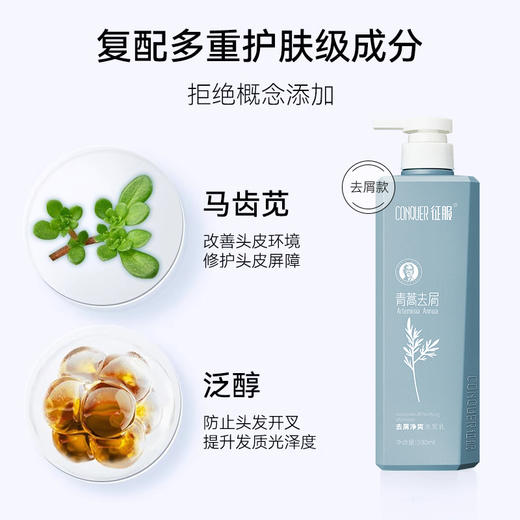 【下单送小样*2】征服2024新升级青蒿洗发乳洗发水洗护系列【4-613】 商品图4