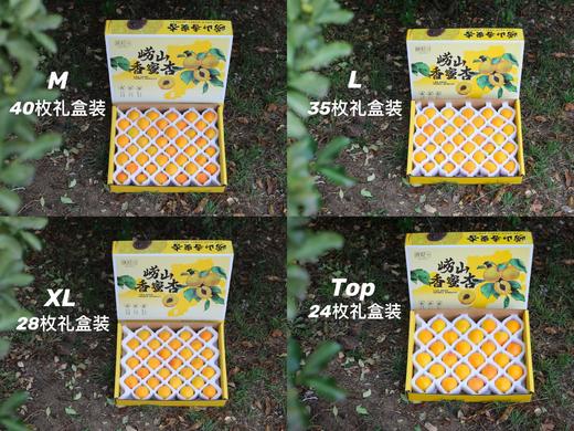 26日发货！青岛自己的小白杏【飨实®崂山香蜜杏】胶东半岛山地种植，泉水灌溉，花香蜜甜，甜杏核一杏两吃，糯而不面，甜蜜多汁 商品图8
