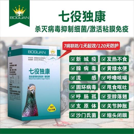 【七役独康】粉剂片剂赛鸽混合感染抑制病毒增强免疫力（搏冠） 商品图0