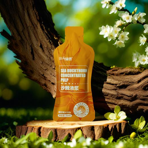 （叶一乐专属）沙棘浓浆不酸涩升级版沙棘原浆 商品图2