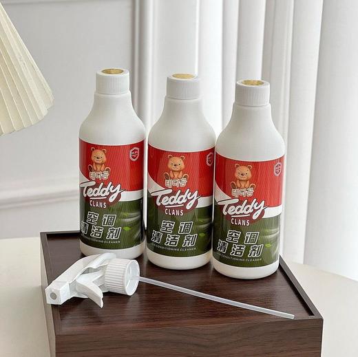 TeddyCLANS空调清洁剂拍一发三 商品图2