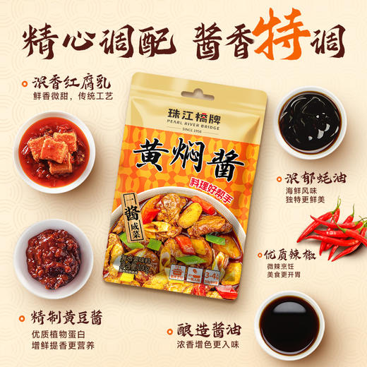 珠江桥牌 叉烧汁100g+糖醋汁100g+黄焖酱100g 商品图10
