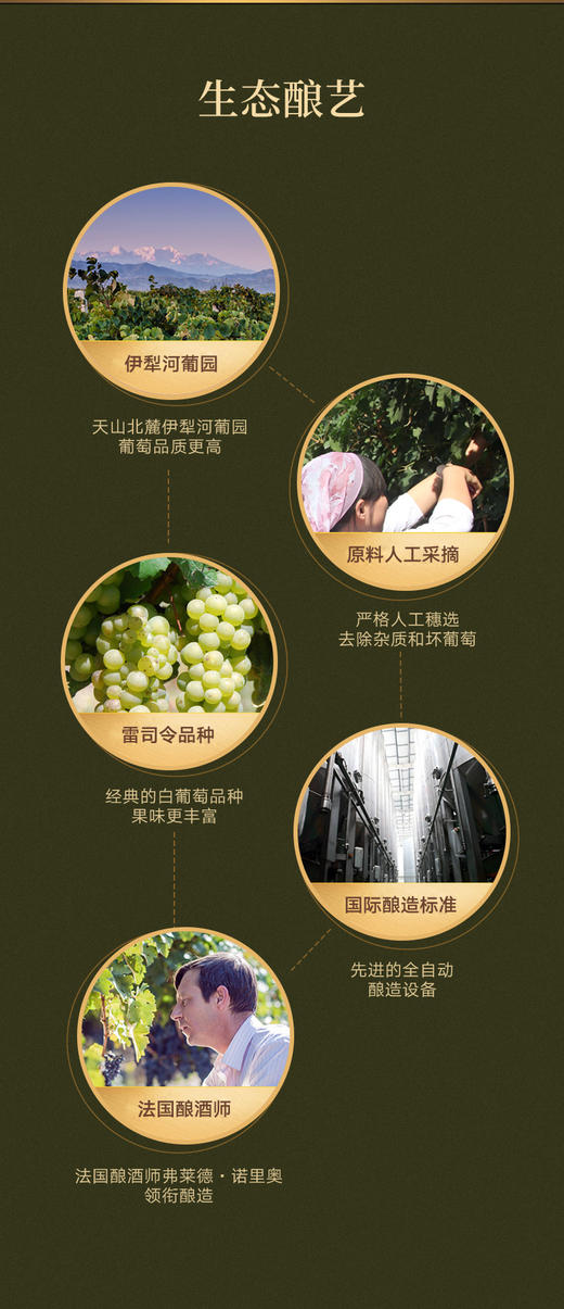 尼雅酿酒师系列 雷司令干白葡萄酒  750ml*6瓶 商品图7