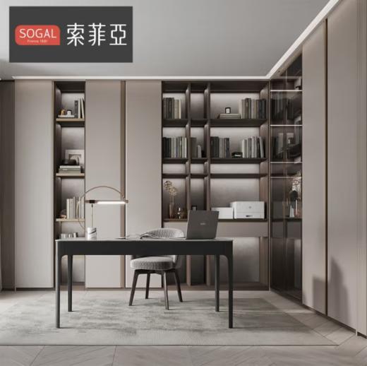 索菲亚定制衣柜 轻奢整体衣柜卧室家具玻璃门 阳台洗衣机柜电视机柜 入户玄关柜餐边柜酒柜 （单平米价） （莱斯系列）极简轻奢鞋柜 商品图1