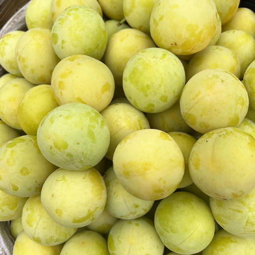 桃花李（玉皇李）/软熟口感/267项农残0检出 商品图4