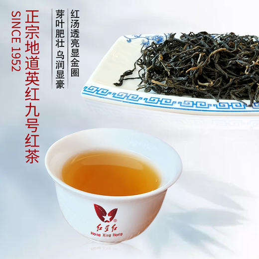 一茶百味.特惠装英红九号250克 商品图4
