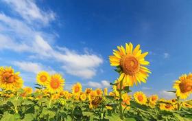  “无病三分虚”，每天几分钟的养心和血操，助你安然度夏！ 