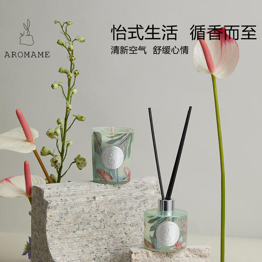 【明星推荐】AROMAME香氛香薰礼盒香薰蜡烛家用散香器女生七夕生日礼物野兽风 商品图0