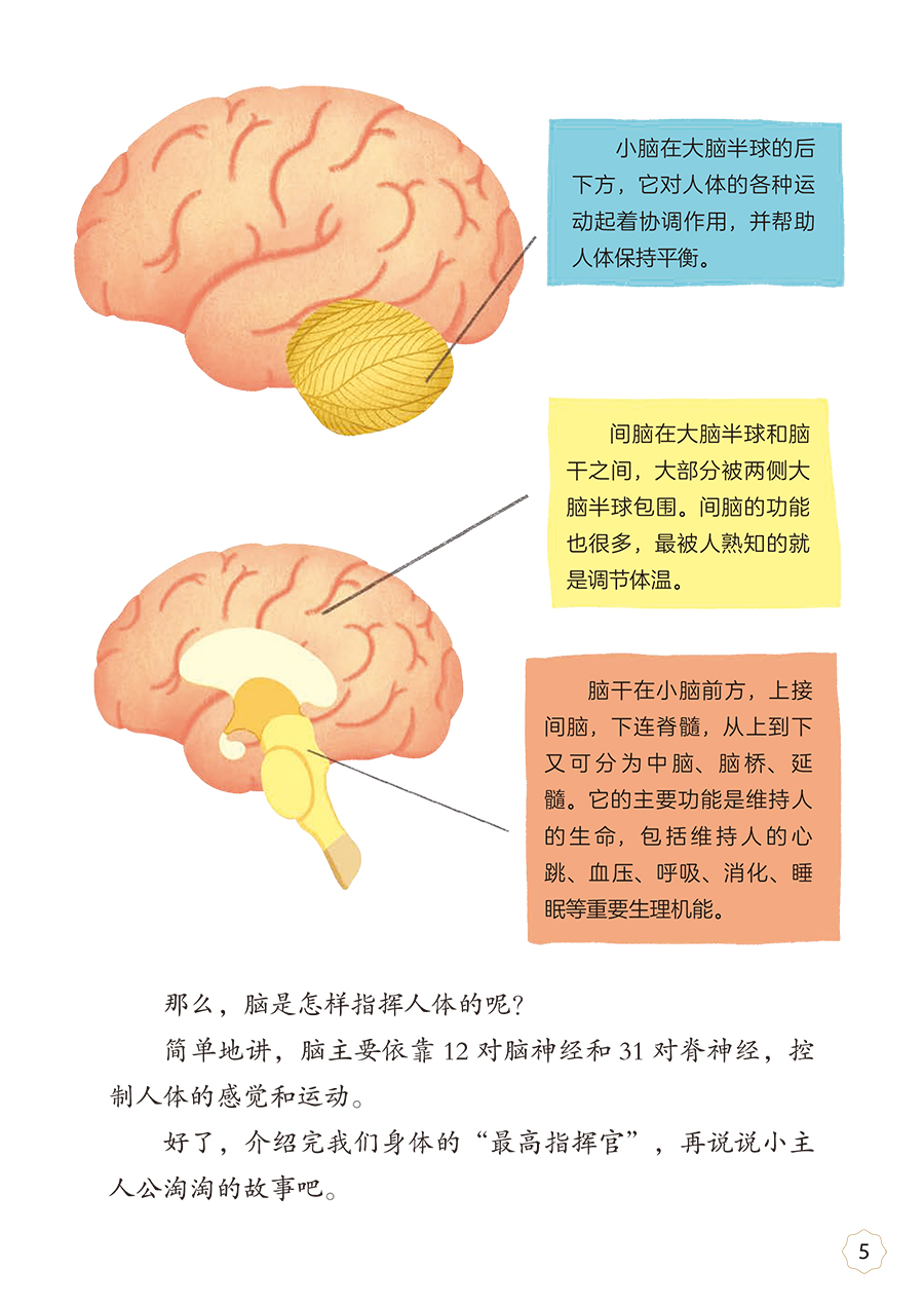 34893(yz) (4).jpg