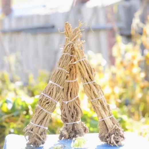 大兴安岭野生黄芪 商品图1