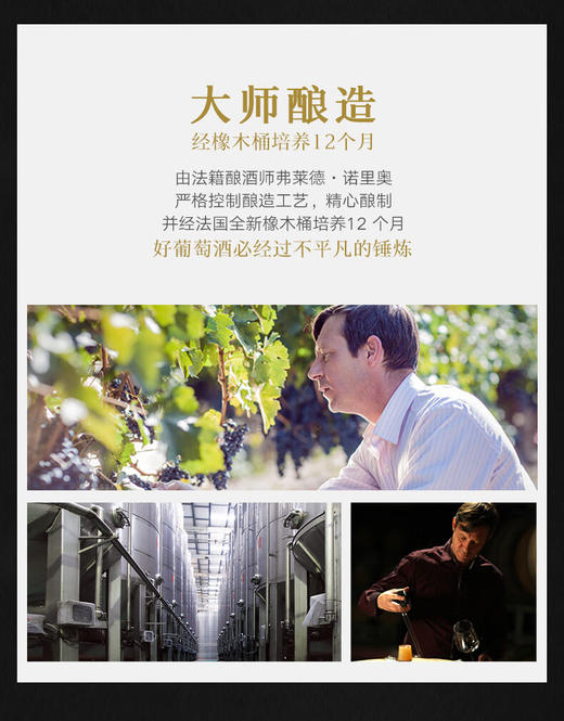 尼雅传奇2019 马瑟兰混酿干红葡萄酒 商品图4