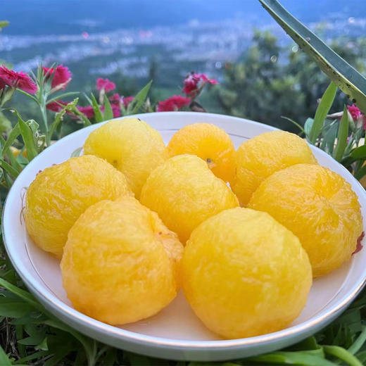 桃花李（玉皇李）/软熟口感/267项农残0检出 商品图2