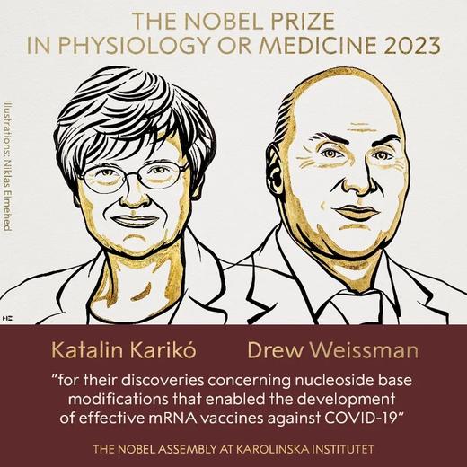 突破：我的科学人生 2023年诺贝尔生理学或医学奖得主 卡塔林·考里科  亲笔自传 商品图1