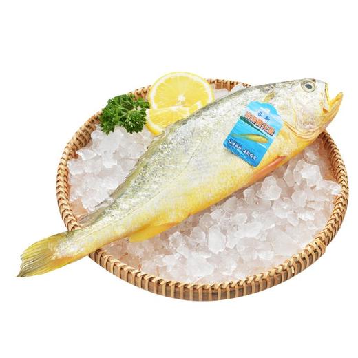冰鲜黄花鱼约300-400g/条 商品图2