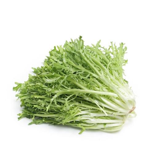 苦菊 约200g 【BC】【QC】 商品图0